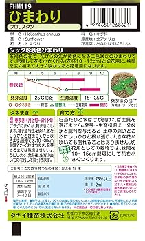 ひまわり☆ プロフィールお読みください10個 お花の種】ひまわり☆向日葵 プロカットホワイトナイト 種子 約